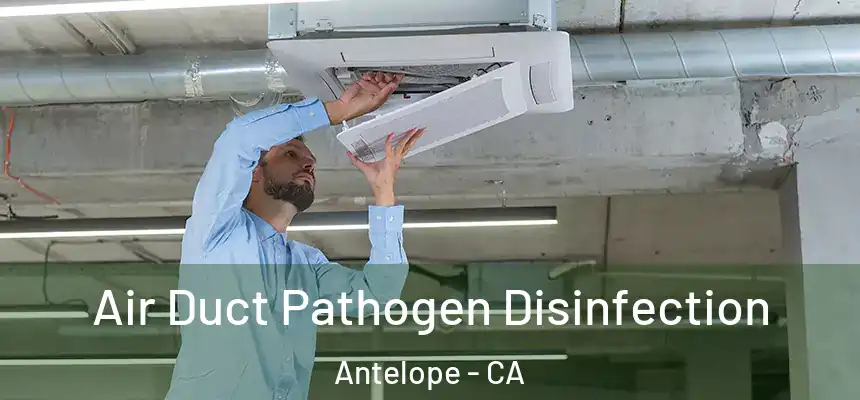  Air Duct Pathogen Disinfection Antelope - CA