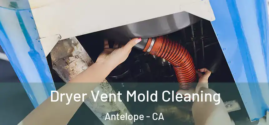  Dryer Vent Mold Cleaning Antelope - CA