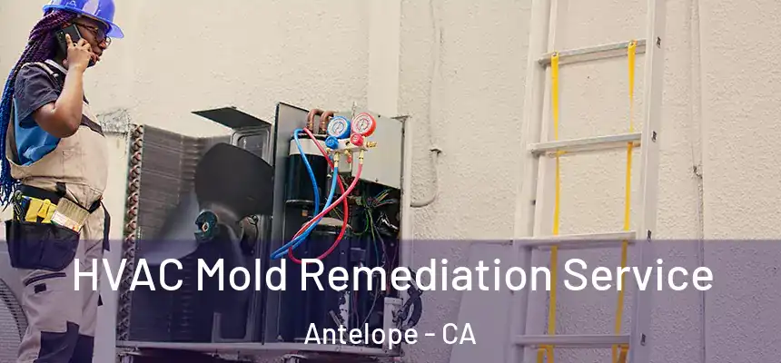  HVAC Mold Remediation Service Antelope - CA