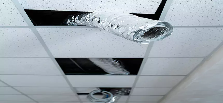 Our Air Duct Pet Hair Removal Services in Antelope, CA