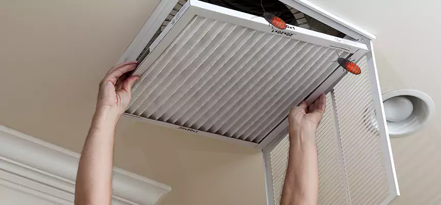Our Insect Removal from Air Ducts Services in Antelope, CA