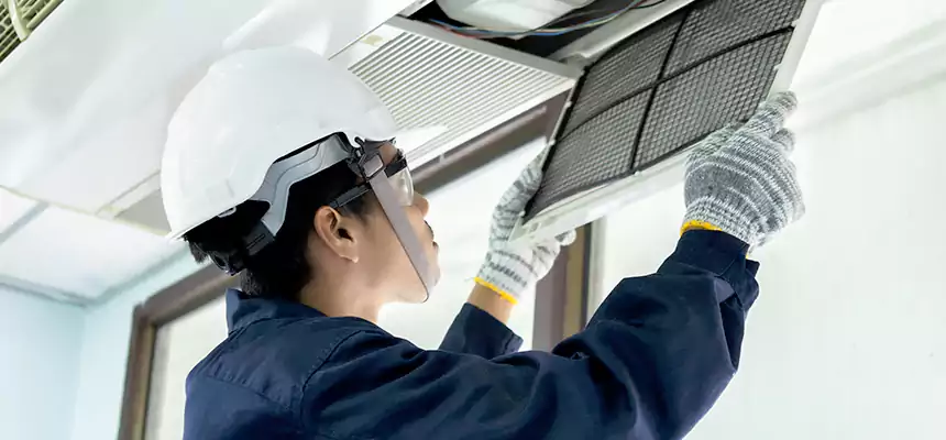 Our Mold & Mildew Removal from Air Ducts Services in Antelope, CA