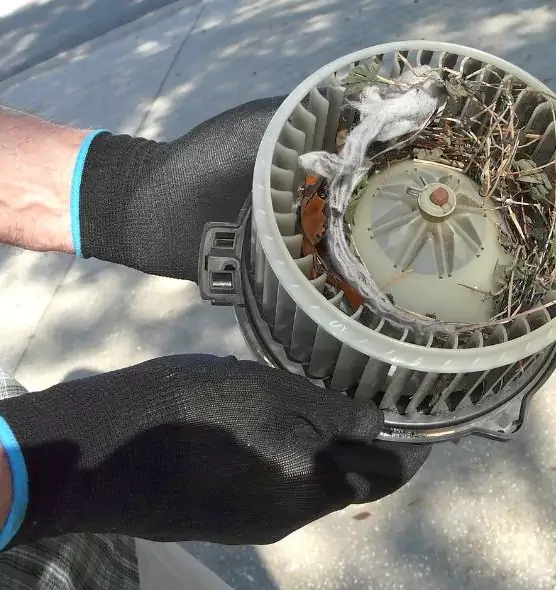 About Air Duct Mice Removal in Antelope, CA