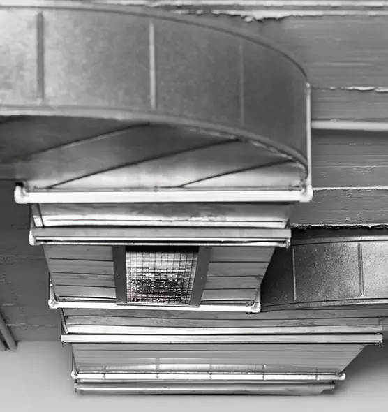 Professional Air Duct Pest Removal in Antelope, CA