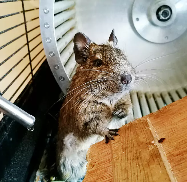 Why Homeowners & Businesses Trust Us Antelope, CA