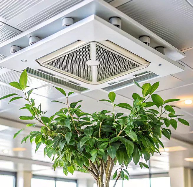 Why Homeowners & Businesses Trust Us in Antelope, CA