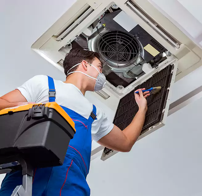 Why Homeowners & Businesses Trust Us in Antelope, CA?