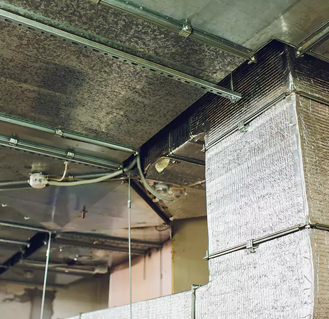 Why Homeowners & Businesses Trust Us in Antelope, CA?