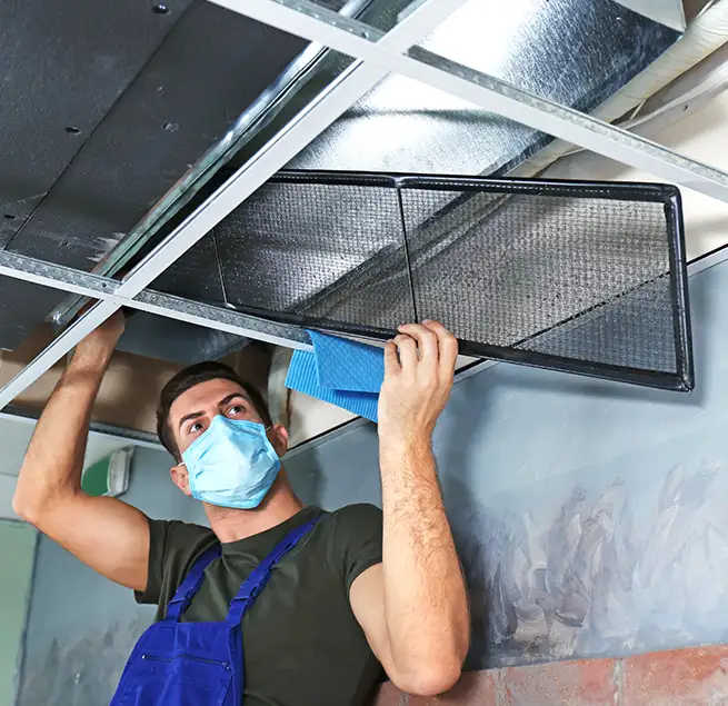 Why Homeowners & Businesses Trust Us in Antelope, CA?